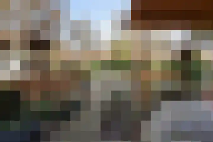 Koppellaan 6 Apeldoorn thumbnail 68
