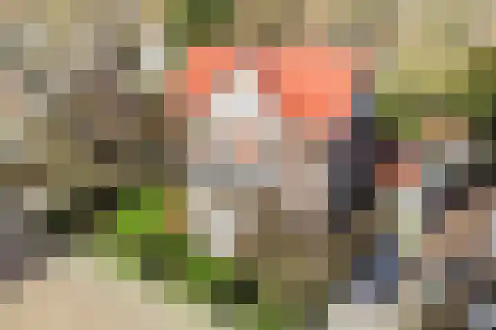 Koppellaan 6 Apeldoorn thumbnail 7