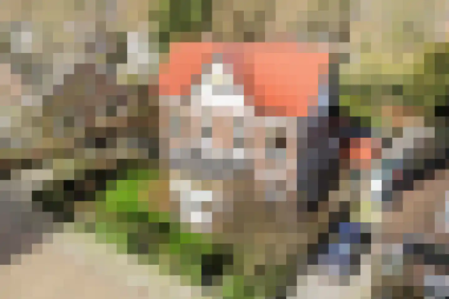 Koppellaan 6 Apeldoorn thumbnail 7