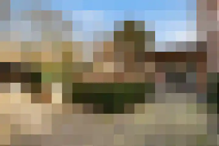Koppellaan 6 Apeldoorn thumbnail 71