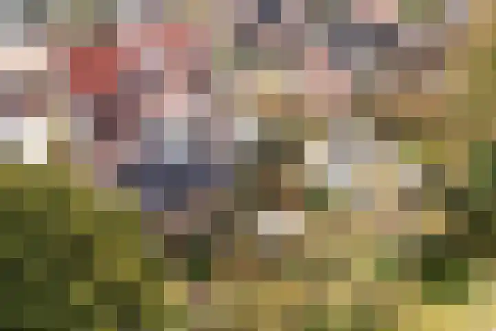 Koppellaan 6 Apeldoorn thumbnail 74