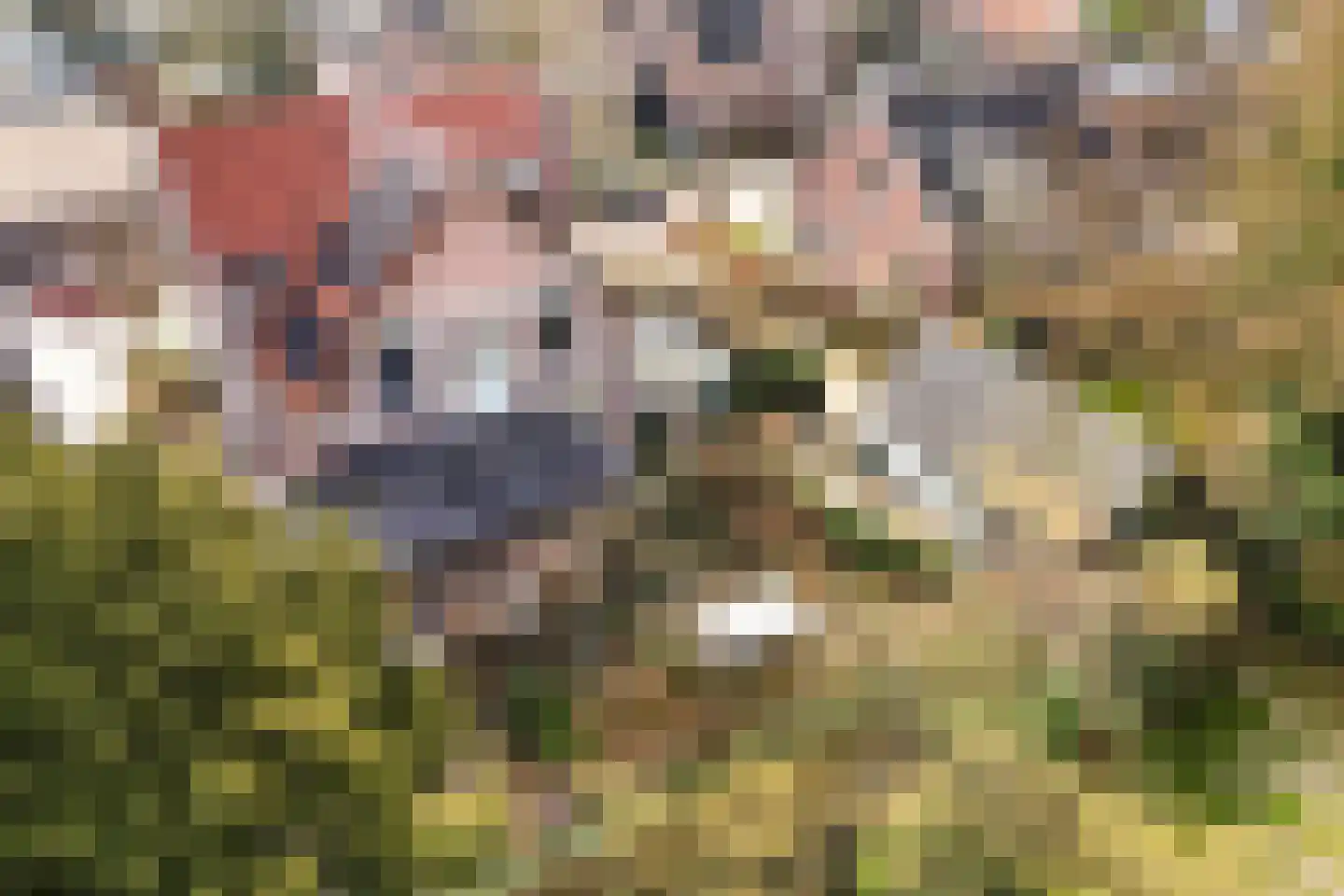 Koppellaan 6 Apeldoorn thumbnail 74