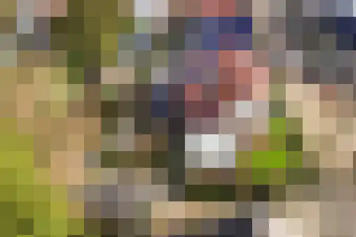 Koppellaan 6 Apeldoorn thumbnail 75