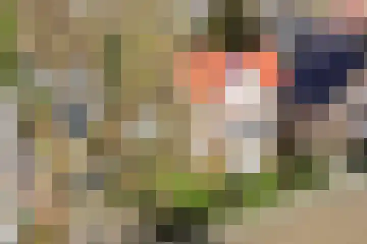 Koppellaan 6 Apeldoorn thumbnail 76