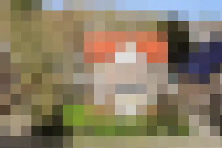 Koppellaan 6 Apeldoorn thumbnail 8