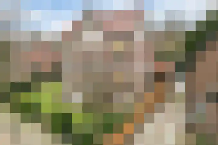 Koppellaan 6 Apeldoorn thumbnail 9