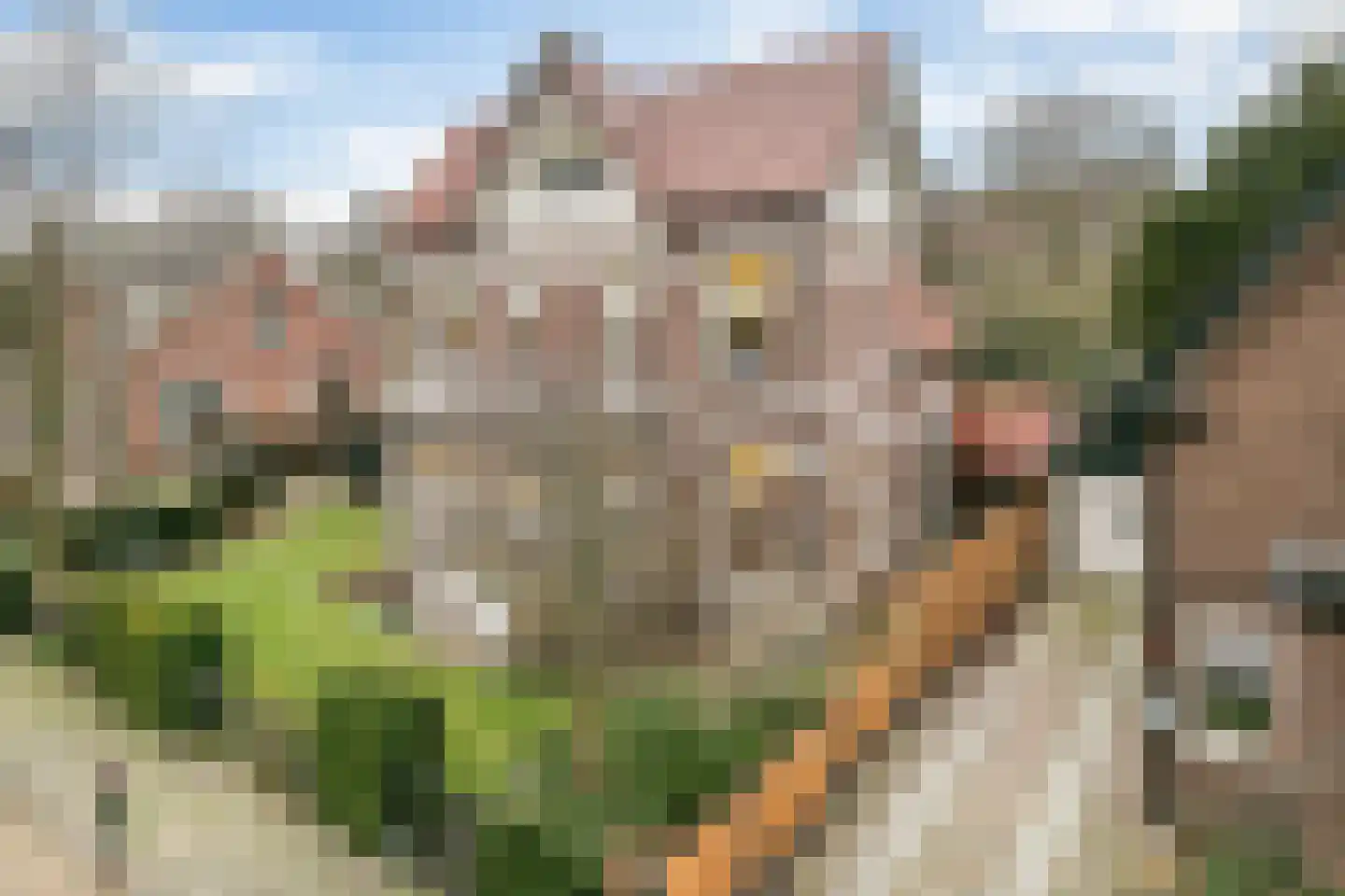 Koppellaan 6 Apeldoorn thumbnail 9