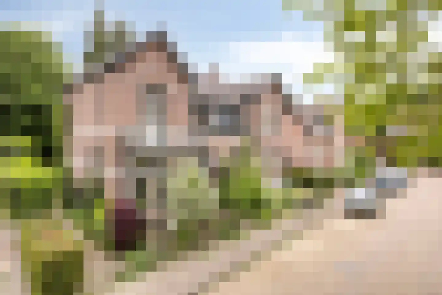 Koppellaan 7 Apeldoorn