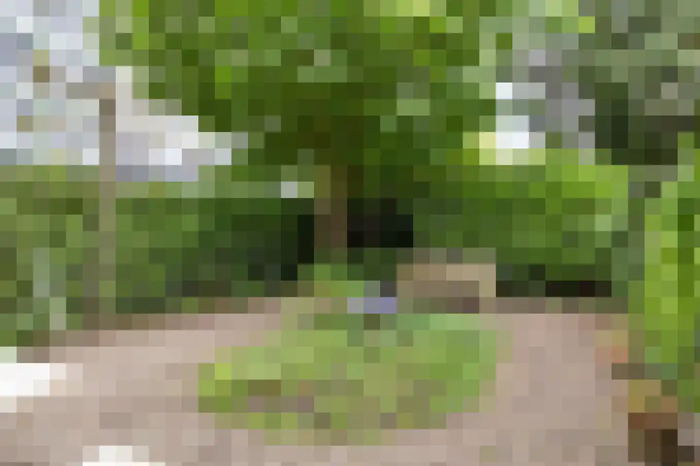 Koppellaan 7 Apeldoorn thumbnail 27