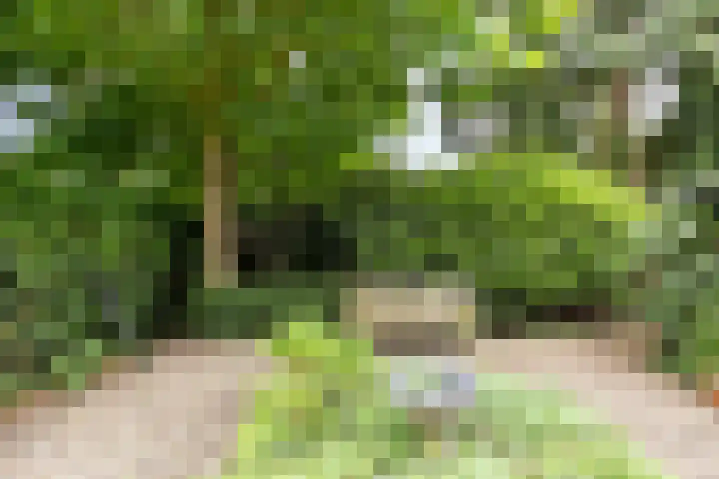 Koppellaan 7 Apeldoorn thumbnail 28