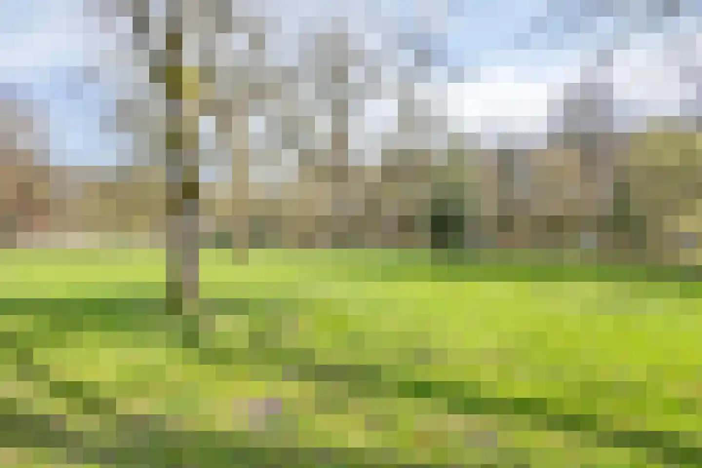 Koppellaan 7 Apeldoorn thumbnail 36