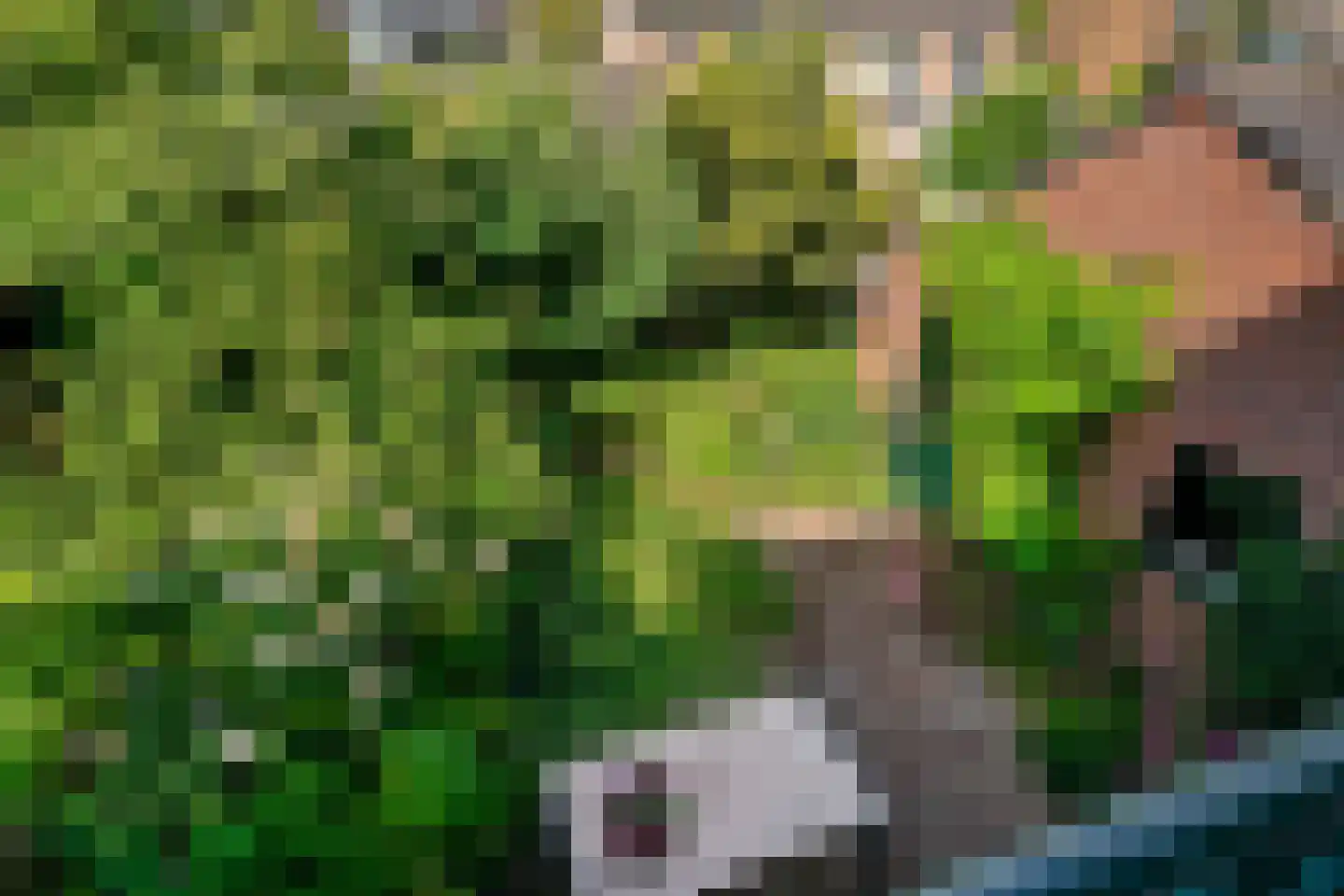 Koppelland 10 Abcoude thumbnail 30
