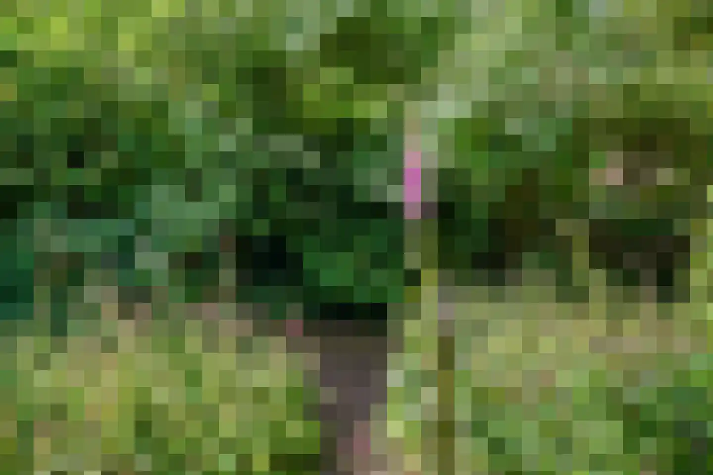 Koppelland 10 Abcoude thumbnail 35