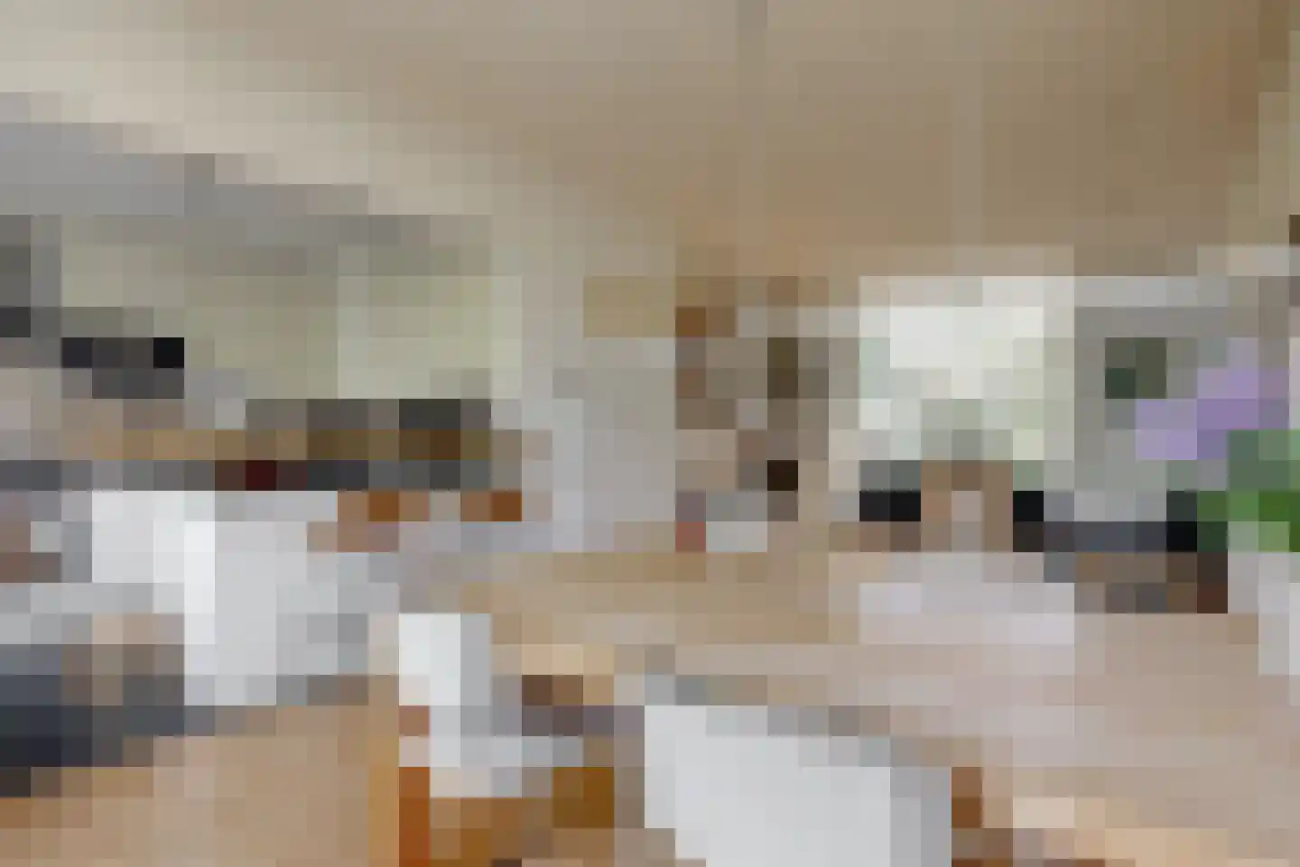Koppelland 10 Abcoude thumbnail 6