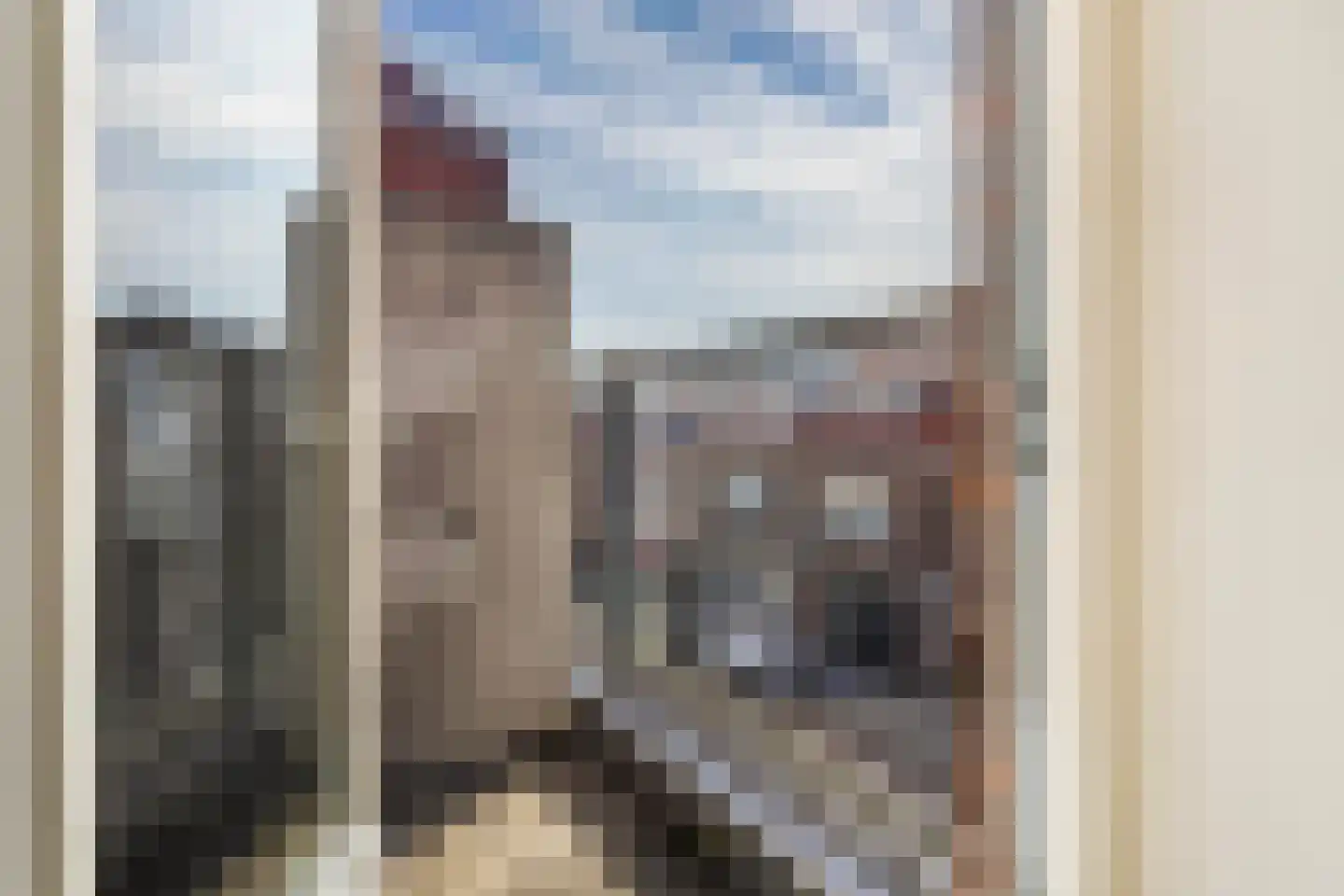 Koppelstokstraat 117 Den Haag thumbnail 26