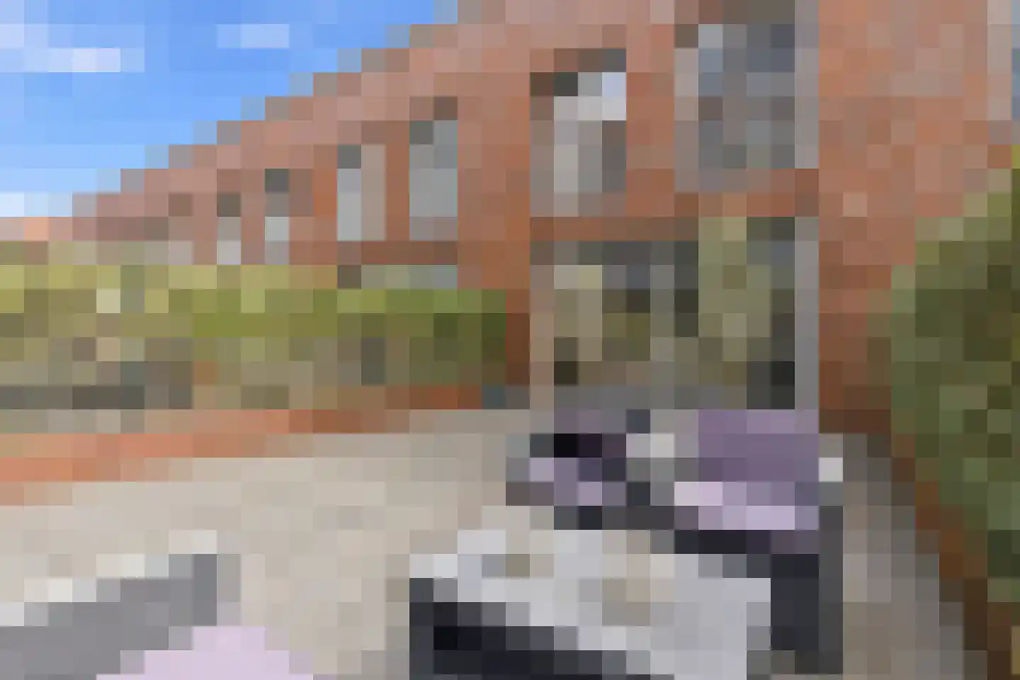 Koppelstokstraat 37 Den Haag thumbnail 26