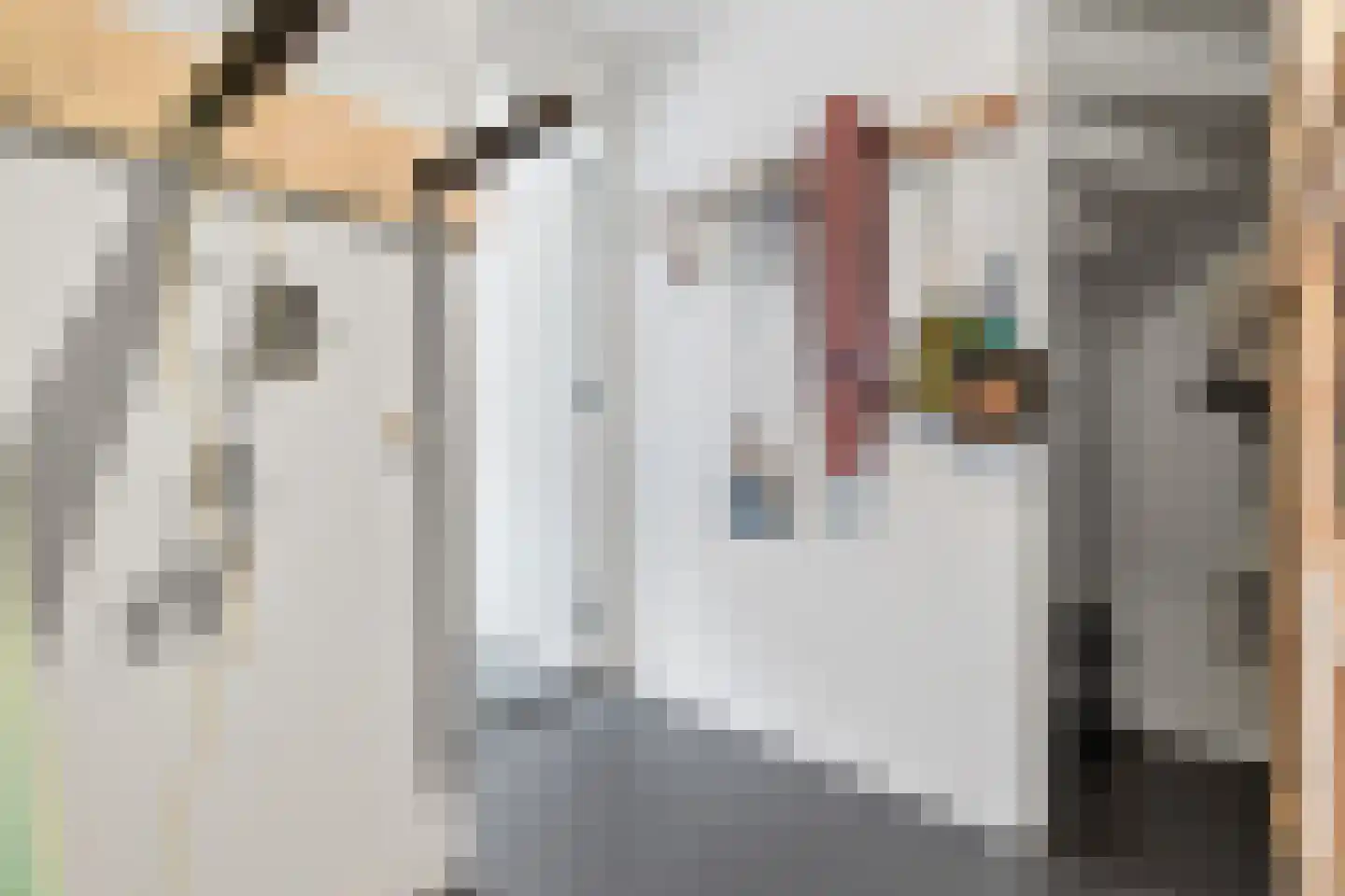 Koppelstokstraat 37 Den Haag thumbnail 8