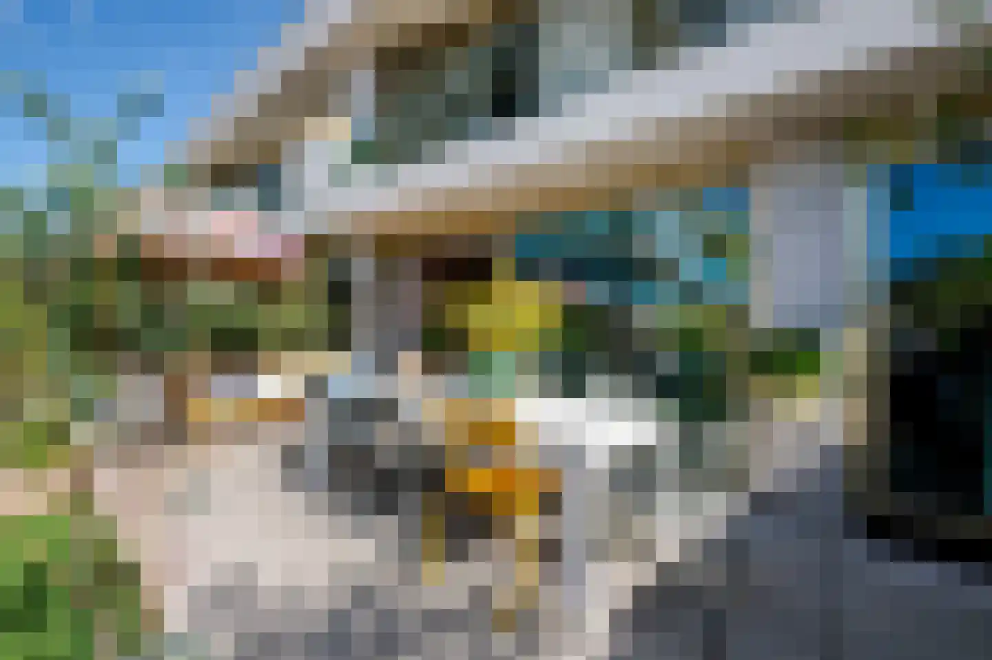 Koppelstokstraat 53 Den Haag thumbnail 6