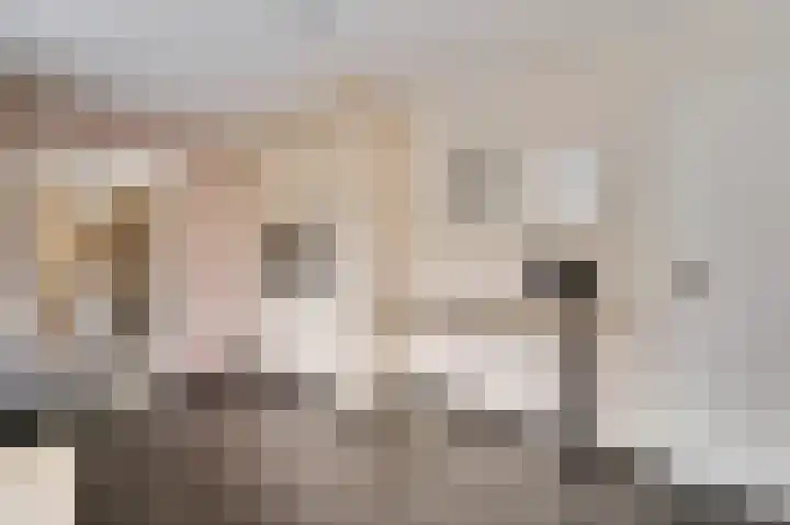 Koppelstraat 1 Heythuysen thumbnail 12