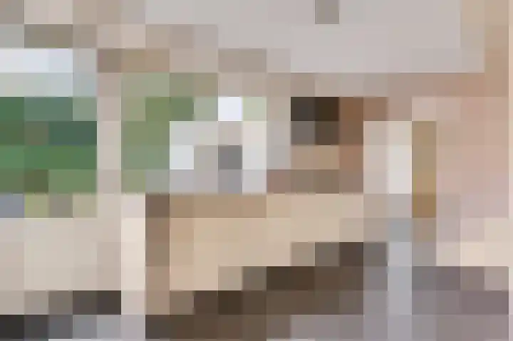 Koppelstraat 1 Heythuysen thumbnail 13