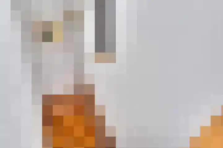 Koppelstraat 1 Heythuysen thumbnail 17