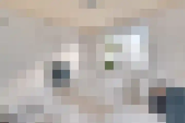 Koppelstraat 1 Heythuysen thumbnail 22