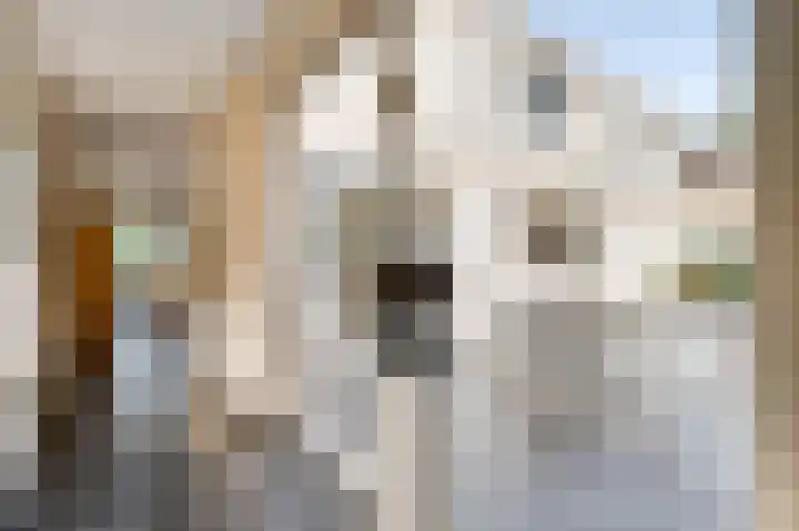 Koppelstraat 1 Heythuysen thumbnail 9