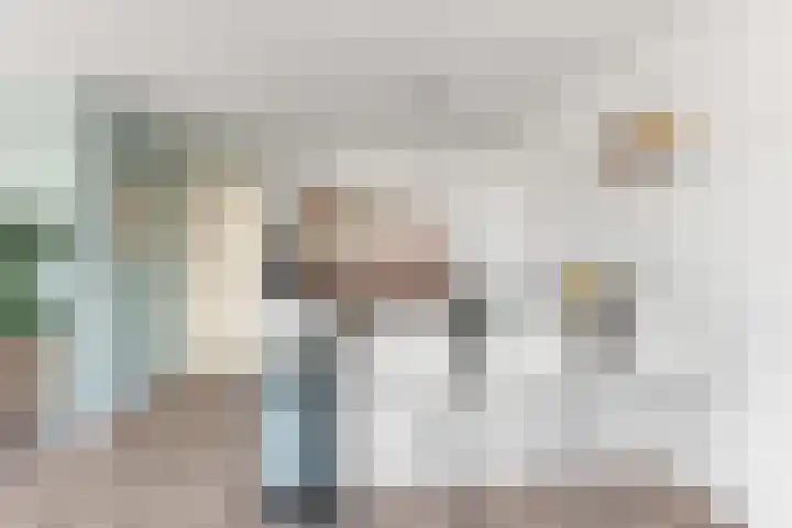 Koppelstraat 10 Dieren thumbnail 10