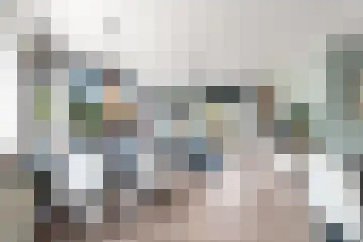 Koppelstraat 10 Dieren thumbnail 13