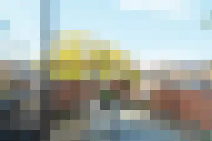 Koppelstraat 10 Dieren thumbnail 14