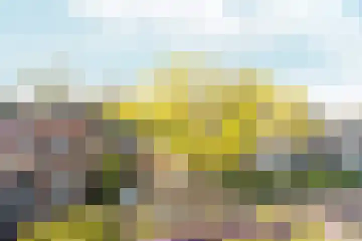 Koppelstraat 10 Dieren thumbnail 15