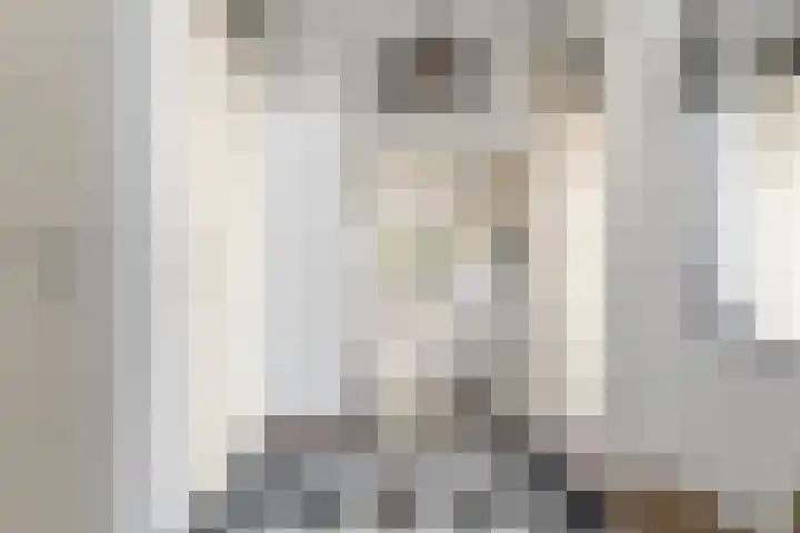 Koppelstraat 10 Dieren thumbnail 24