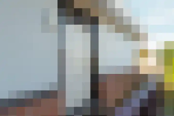 Koppelstraat 10 Dieren thumbnail 26