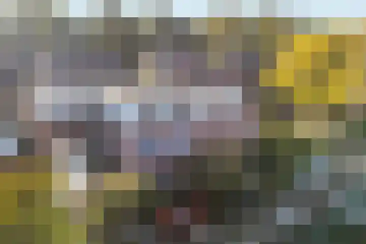 Koppelstraat 10 Dieren thumbnail 28