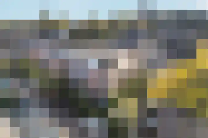 Koppelstraat 10 Dieren thumbnail 29