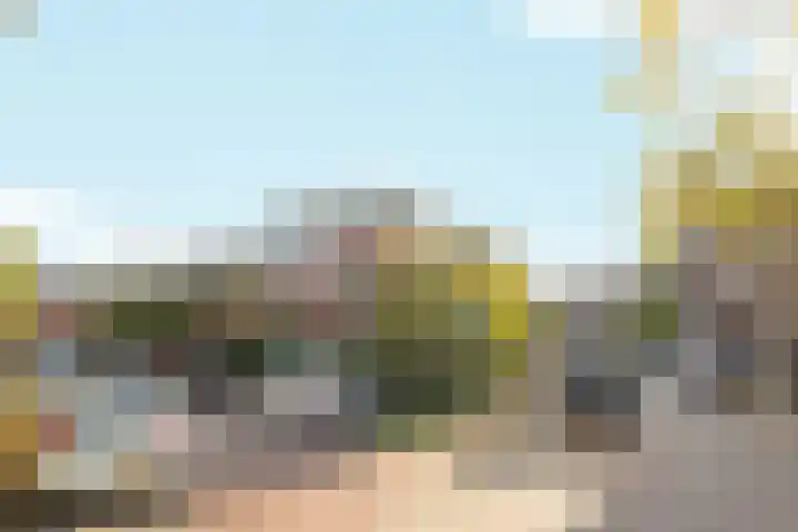 Koppelstraat 10 Dieren thumbnail 30