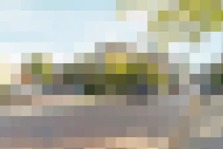 Koppelstraat 10 Dieren thumbnail 31