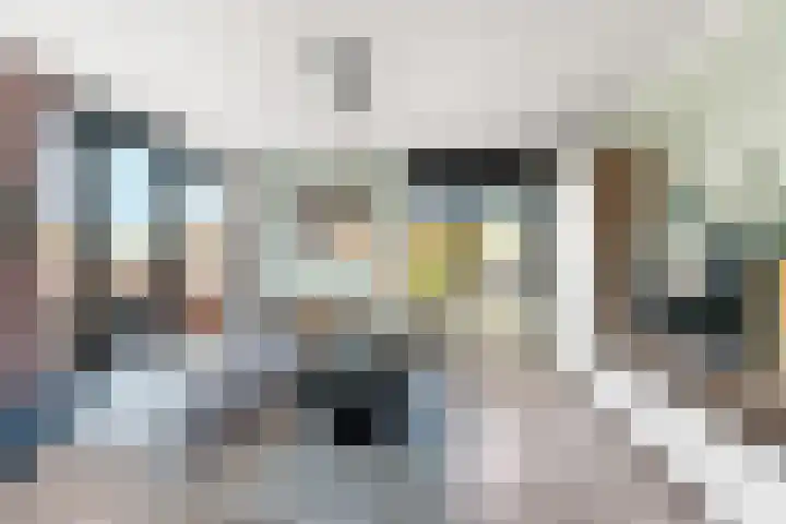 Koppelstraat 10 Dieren thumbnail 4