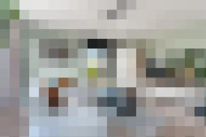 Koppelstraat 10 Dieren thumbnail 5