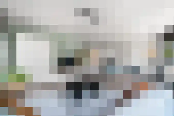 Koppelstraat 10 Dieren thumbnail 6