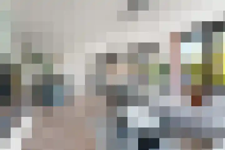 Koppelstraat 10 Dieren thumbnail 7