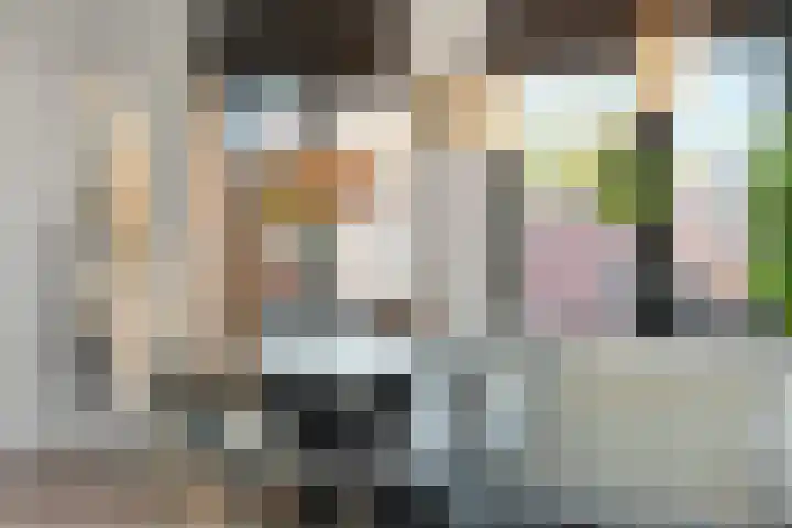 Koppelstraat 10 Dieren thumbnail 8