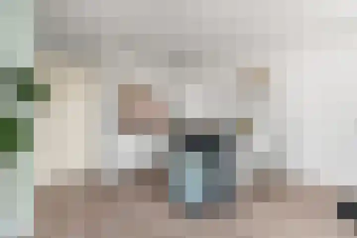 Koppelstraat 10 Dieren thumbnail 9