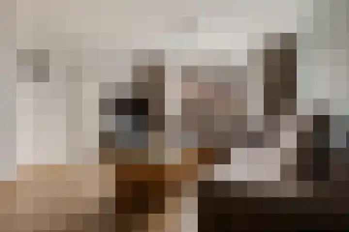 Koppelstraat 12 Roggel thumbnail 17