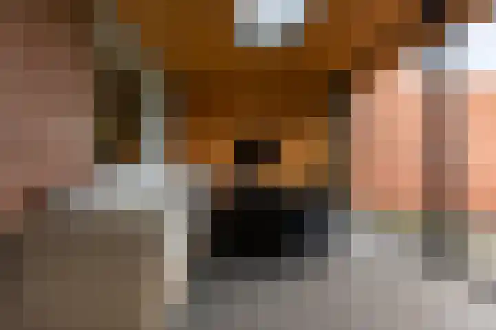 Koppelstraat 12 Roggel thumbnail 18