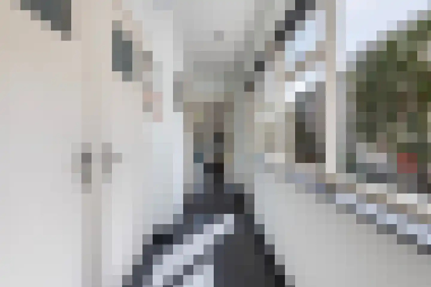 Koppelstraat 15 Bredevoort thumbnail 17
