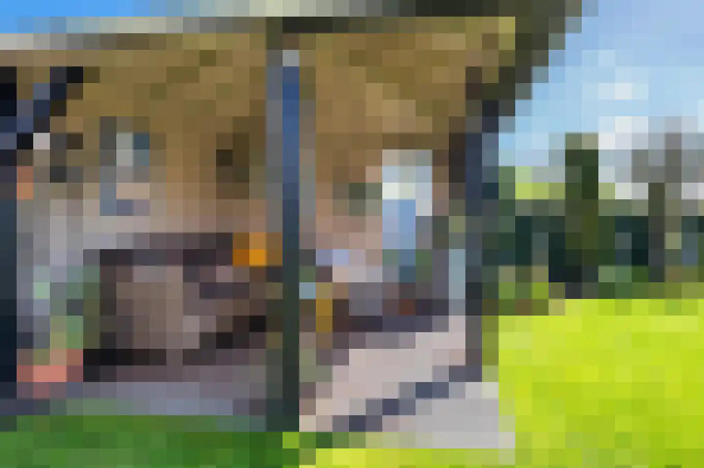 Koppelstraat 15 Bredevoort thumbnail 32