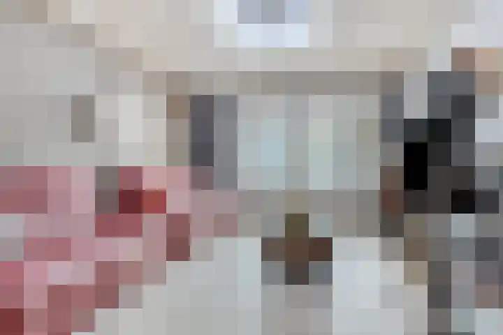 Koppelstraat 2 Putte thumbnail 19