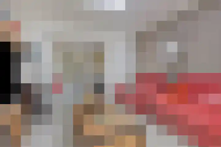 Koppelstraat 2 Putte thumbnail 20