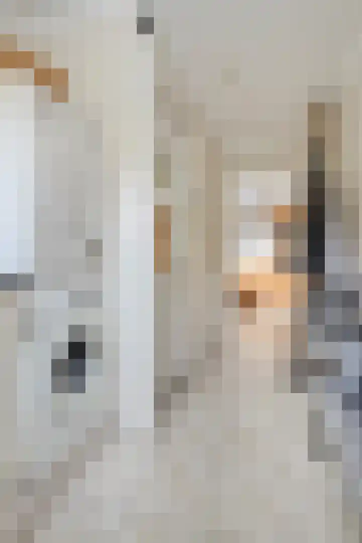 Koppelstraat 2 Putte thumbnail 21